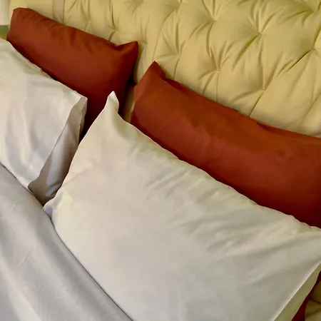 Luxury In The Center Vodina