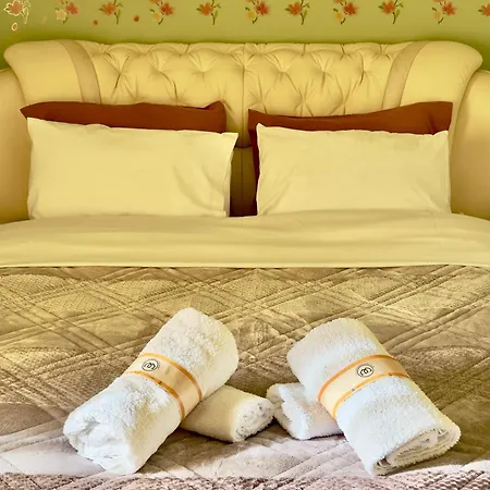 Daire Luxury In The Center